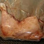poultry
