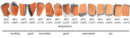 salmontemperatures